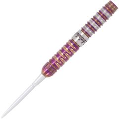 TARGET ENDEAVOUR G2 24g 佐藤かす美 (Kasumi Sato) 選手款 Swiss Point [STEEL]