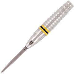 TARGET SCOTT WILLIAMS G2 25g Scott Williams 選手款 Swiss Point [STEEL]